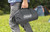 Coleman QuickBed 10" Queen Outdoor Air Mattress