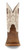 Twisted X Mens 12" Hazel Ivory Tech X Western Square Toe Boot