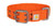 Carhartt Orange Nylon Wide Dog Collar