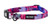 Wolfgang Venture Day Dream Dog Collar