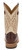 Justin Men's Cognac Damiana Brown & Tan Caddo 11" Western Square Toe Boots