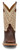 Justin Men's Cognac Damiana Brown & Tan Caddo 11" Western Square Toe Boots