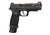 Sig Sauer P365-FUSE X Series Striker 17RD 2/21R 9mm Pistol