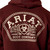 Ariat Men's Bitter Chocolate Ariat Roped Out Desert Badge Hoodie back graphic detail