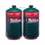 Coleman All-Purpose 16 Ounce Propane Gas Cylinder - 2 Pack