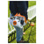 Stihl FS 70 RC-E Trimmer w/Loop Handle