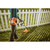 Stihl FC 40 C-E Lightweight Trimmer