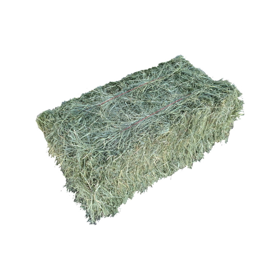 Grass Hay