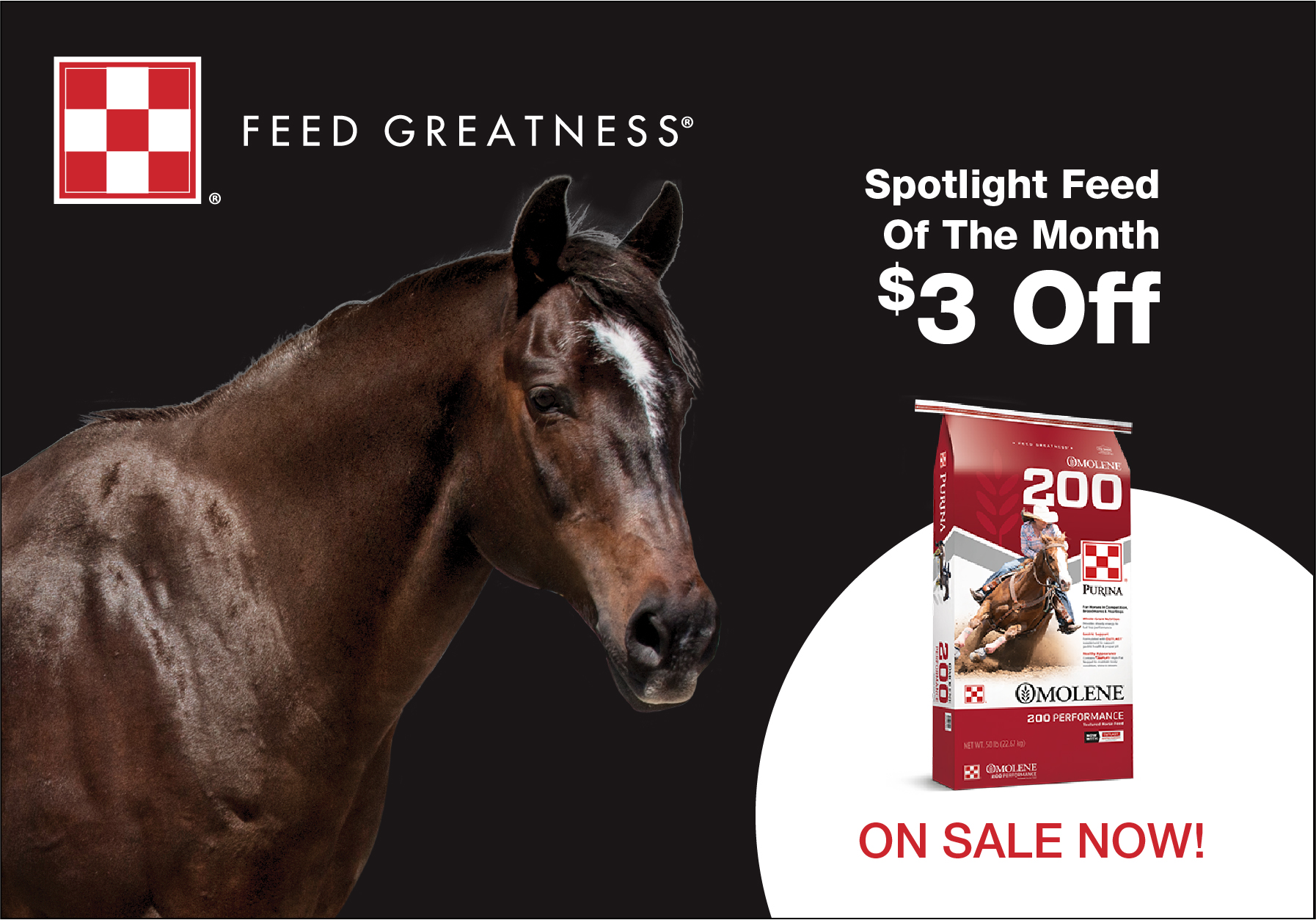 39 big r 20 off coupon