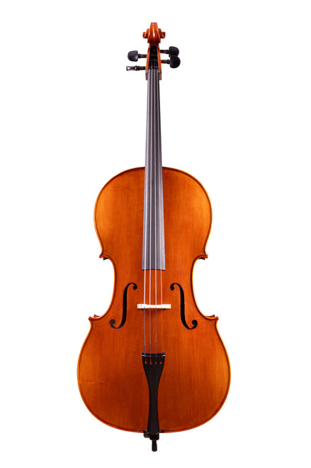 Professional Level Stradivari Cello 4/4 #59