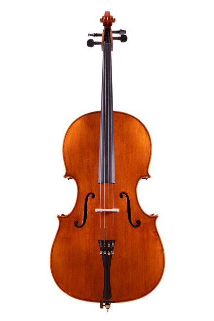 Professional Level Testore Cello 4/4 One Piece Back #100