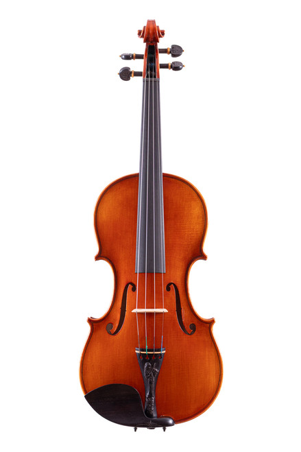 Professional Guarneri One Piece Back Violin 4/4  #100