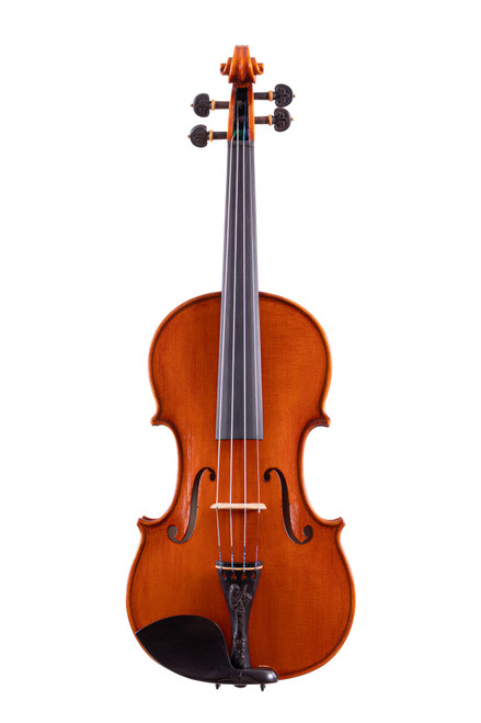 Professional Guarneri One Piece Back Violin 4/4  #101