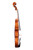 Branded Vivarius Violin 4/4 #014