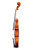 Branded Vivarius Violin 4/4 #014