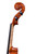 Branded Vivarius Violin 4/4 #014