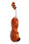 Branded Vivarius Violin 4/4 #014