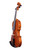 Branded Vivarius Violin 4/4 #014