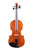 Branded Vivarius Violin 4/4 #014