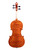 Branded Vivarius Violin 4/4 #014