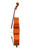 Professional Level Cello 4/4 #7