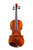 Professional Violin 4/4  #38