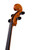 Professional Level Goffriller Cello 4/4 #41