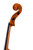 Professional Level Goffriller Cello 4/4 #41