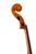 Professional Level Goffriller Cello 4/4 #41