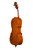 Professional Level Goffriller Cello 4/4 #41