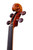 Professional Violin 4/4 #45