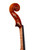 Professional Violin 4/4 #46