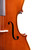 Professional Level Stradivari Cello 4/4 #59