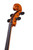 Professional Level Stradivari Cello 4/4 #60