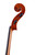 Professional Level Stradivari Cello 7/8 #62