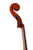 Professional Level Stradivari Cello 7/8 #62