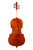 Professional Level Stradivari Cello 7/8 #62