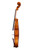 Professional  Stradivari One Piece Back Violin 4/4  #72