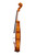 Professional Stradivari One Piece Back Violin 4/4  #74