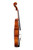 Professional Viola 16' Two Pieces Back  #21