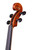 Professional Viola 16' Two Pieces Back  #21