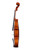 Professional Viola 16' Two Pieces Back  #21