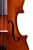 Professional Viola 16' Two Pieces Back  #21