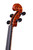 Professional Viola 16.5' Highly Flamed Maple Back  #25