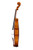 Professional Viola 16'  Two Pieces Back  #26