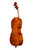 Professional Level Goffriller Cello 4/4 Flamed Maple Back #75