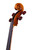 Professional Level  Goffriller Cello 4/4 Rare Flamed Ash Back #78