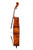 Professional Level  Goffriller Cello 4/4 Rare Flamed Ash Back #78