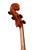 Professional Level  Goffriller Cello 4/4 One Piece Back #79