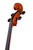 Professional Level  Goffriller Cello 4/4 One Piece Back #79